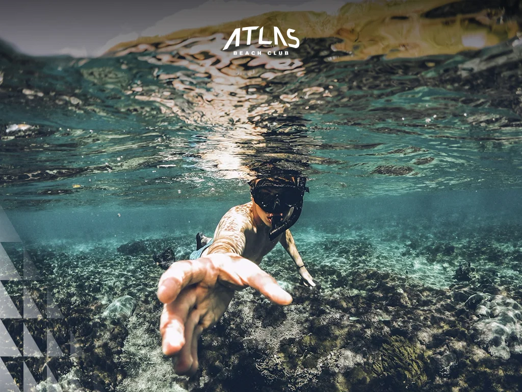 Bali snorkeling season, dry season waters, best visibility