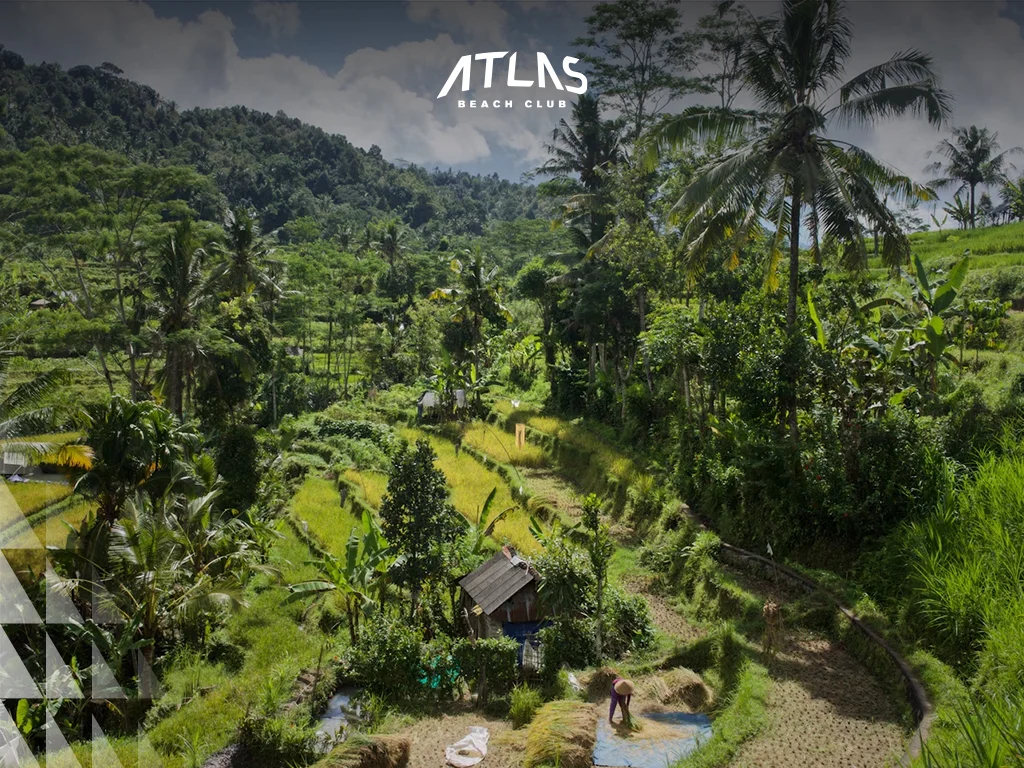 Bali travel season, low travel season, Bali trip planning