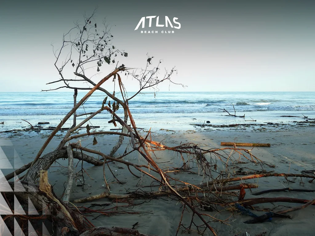 Jimbaran seafood, beachfront dining, sunset view