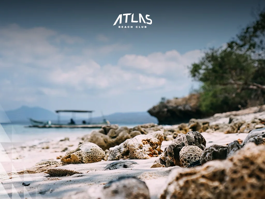 Menjangan Island diving, coral reefs, untouched paradise