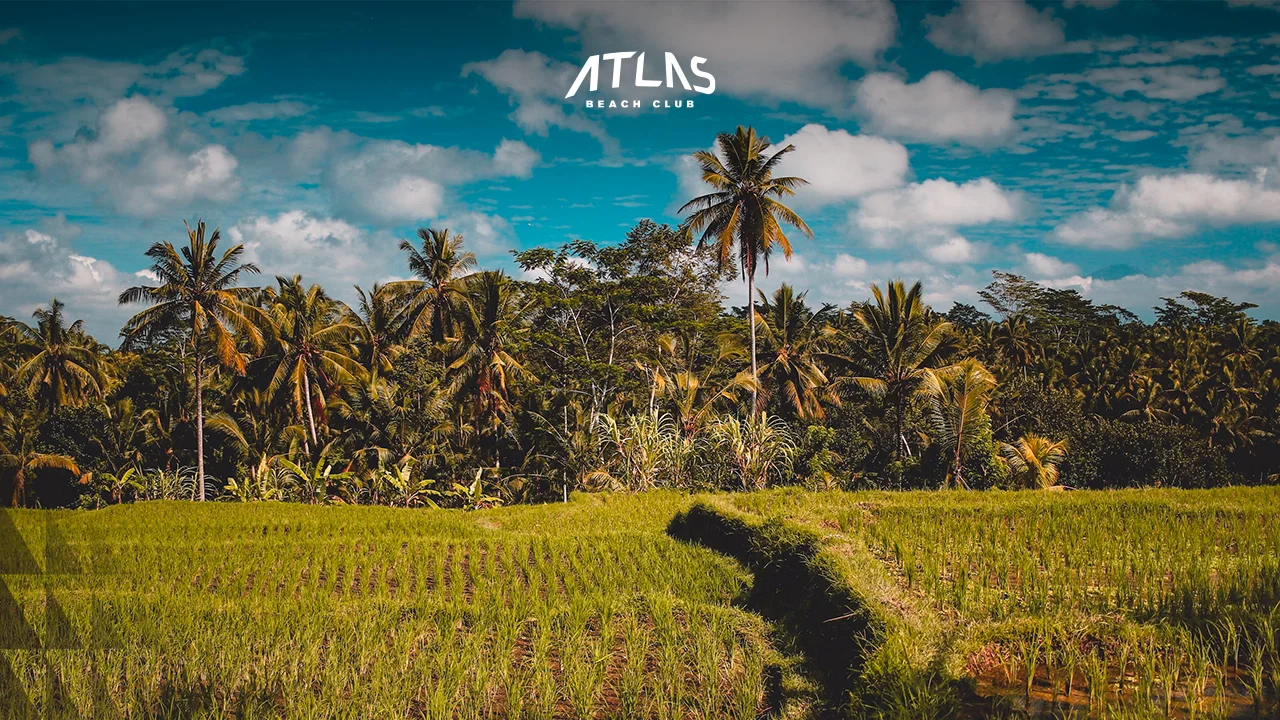 News - Bali’s Best Hidden Gems in 2025: Secret Locations to Explore - World's Biggest Beach Club & Super Club in Bali | Atlas Beach Fest