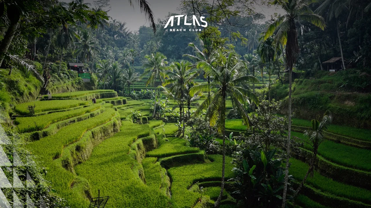 News - Ngembak Geni: The Day After Nyepi in Bali - World's Biggest Beach Club & Super Club in Bali | Atlas Beach Fest