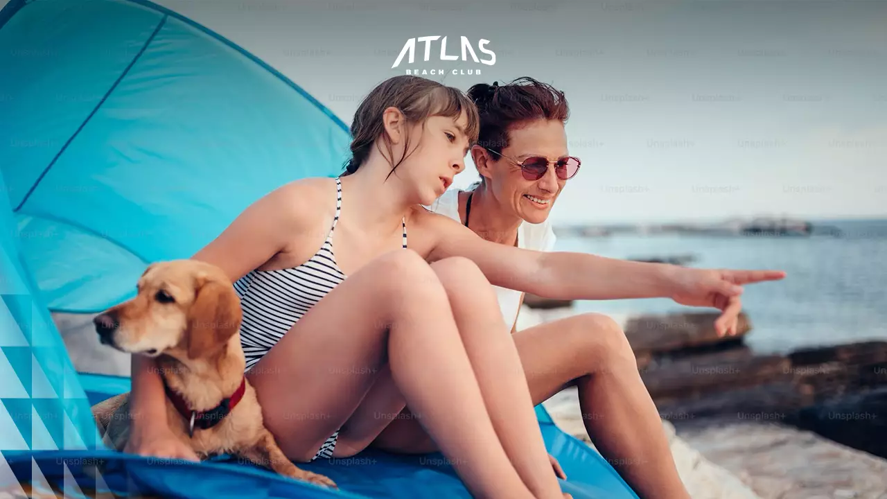 News -  Traveling with Pets in 2025: The Best Pet-Friendly Hotels and Destinations - World's Biggest Beach Club & Super Club in Bali | Atlas Beach Fest